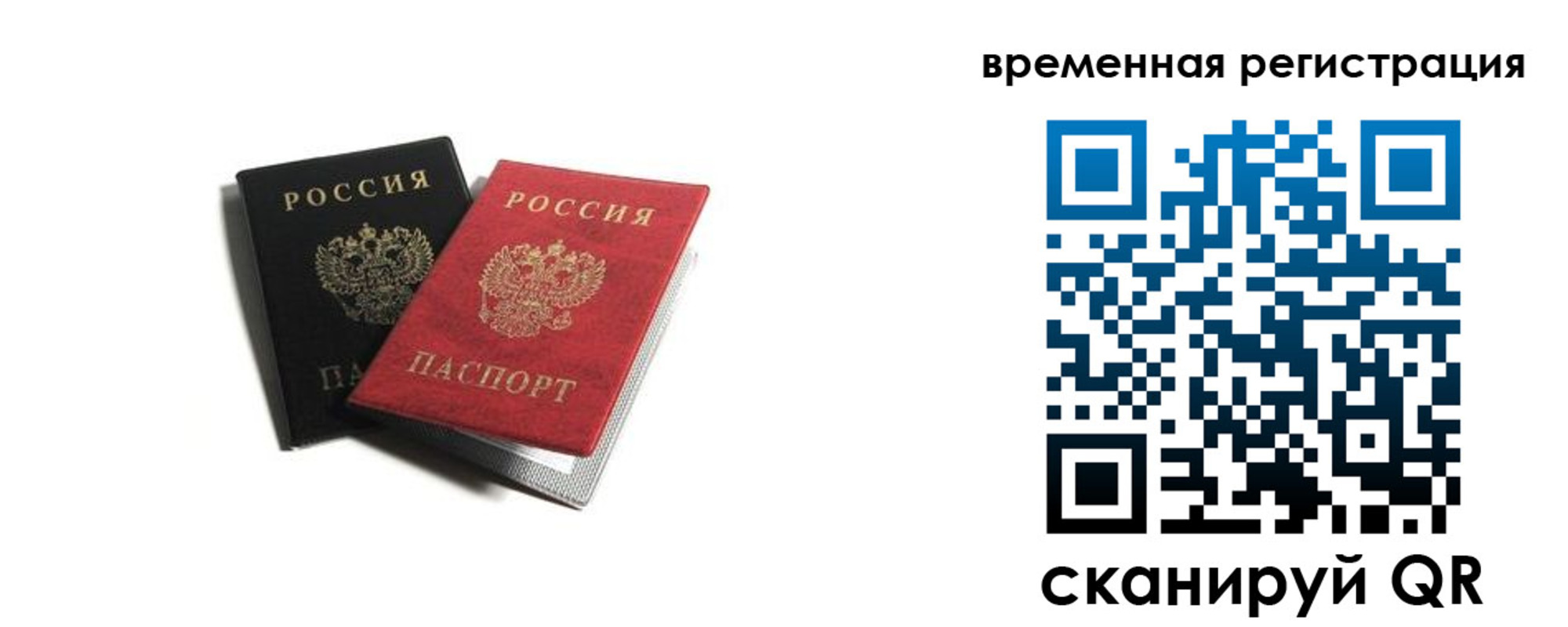 прописка в квартире в Ленинградской области